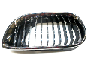 Image of Grille de calandre gauche. CHROM image for your BMW